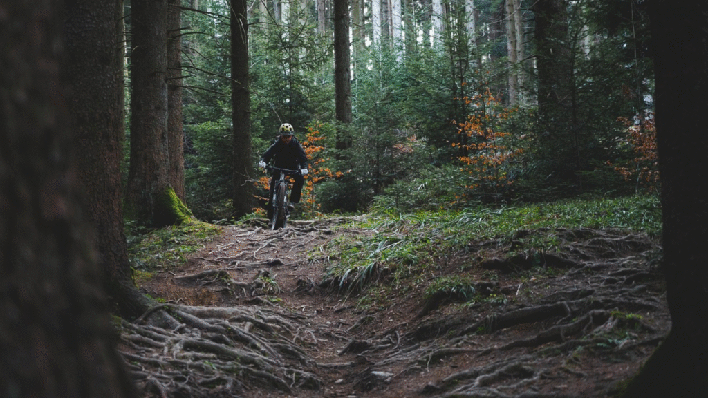 Un ciclista de montaña realizando una ruta / Pixbay