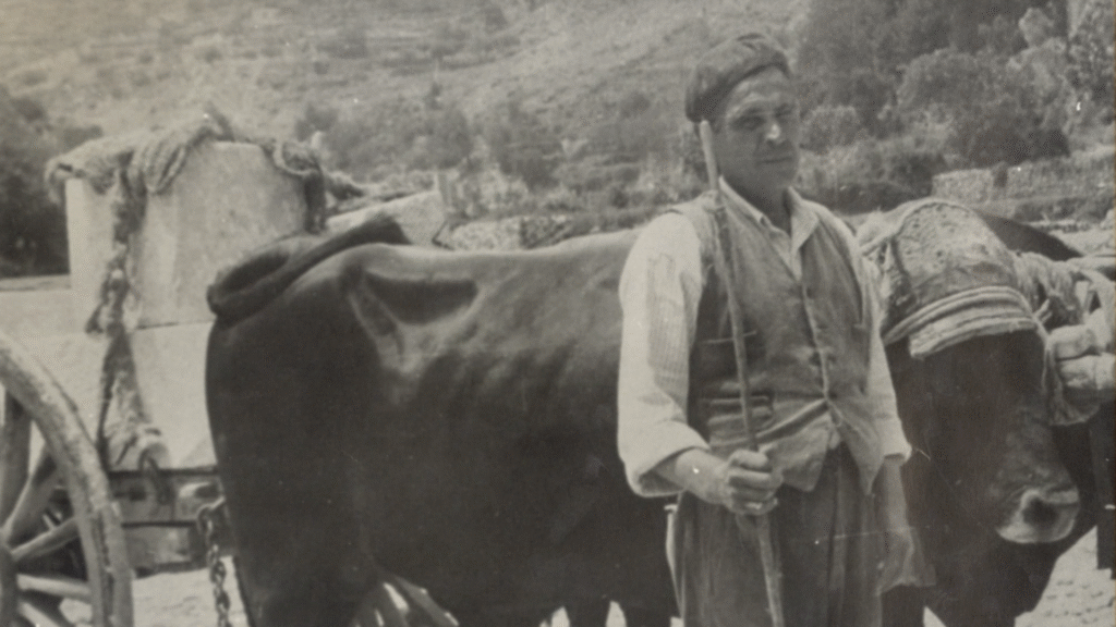 Carrero o Carretero / Ruralísimo