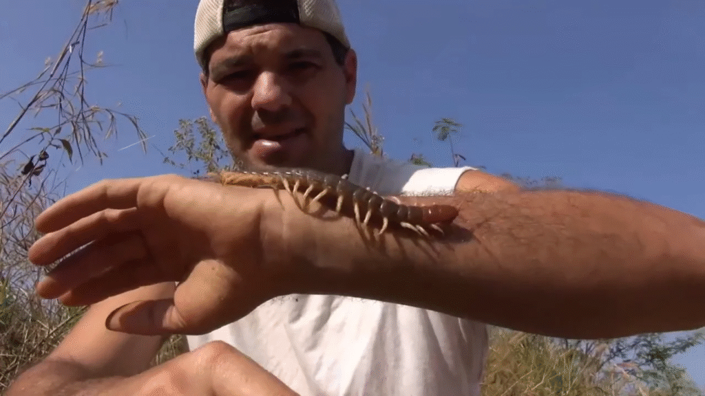 Frank de la Jungla con una escolopendra / Ruralísimo