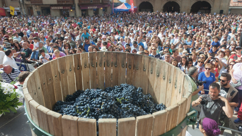 Fiesta de la Vendimia en La Rioja / Ruralísimo